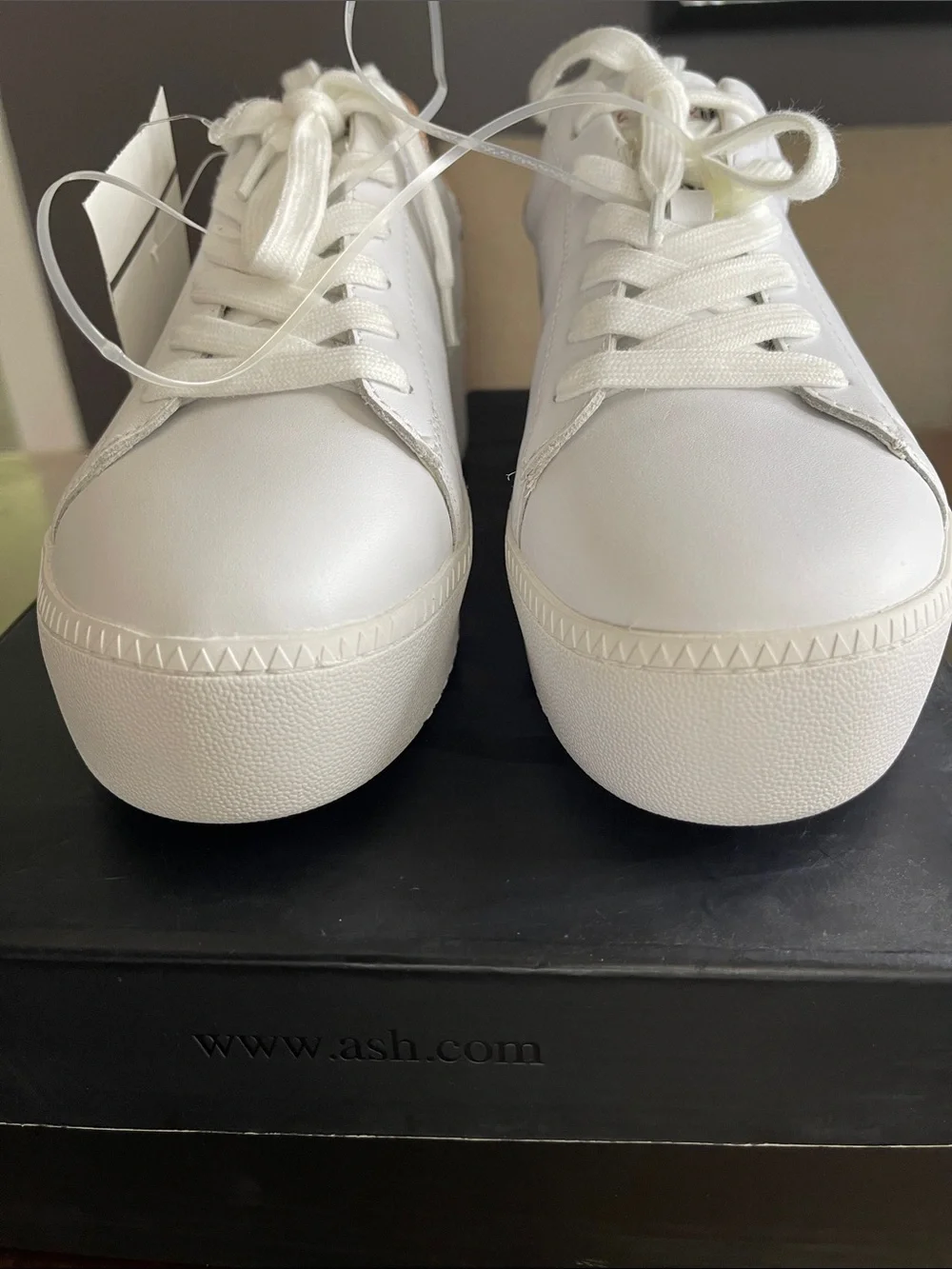 Ash White Sneakers with Rose Gold Heel - SIZE 7
